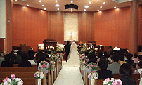 ȥ�輺�� �Ǵ� ����ȥ�� ���� �� �ʿ��� ����