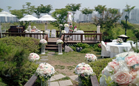 �Ͽ콺�����̶�